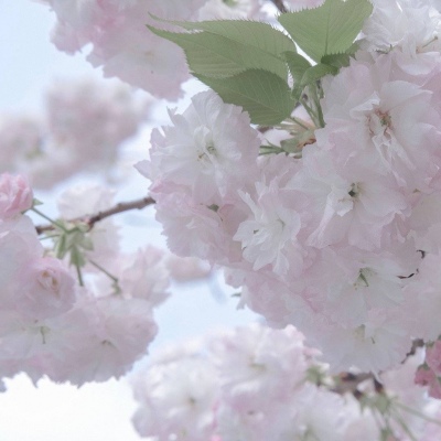 殷都FurryQQ群介绍